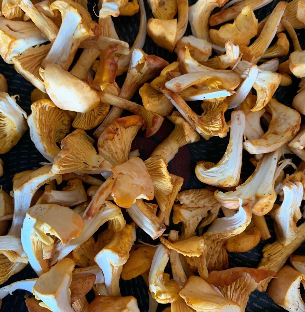 A pile of chopped orange-yellow mushrooms.